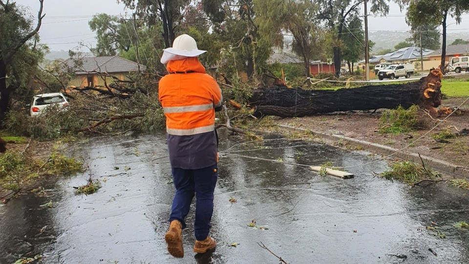 mini tornado adelaide