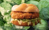 KFC lettuce