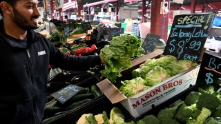 lettuce prices australia