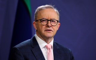 albanese