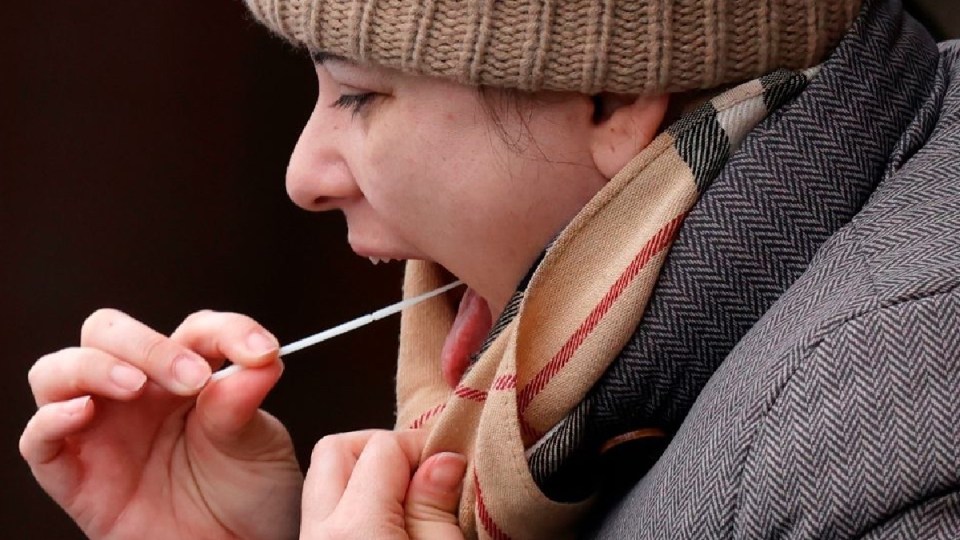 covid swab