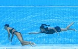 anita alvarez swimmer faint