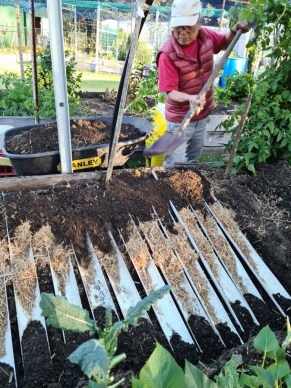 Community garden