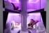 Air NZ's 'Skynest' pods will allow economy travellers somewhere to nap on long-haul flights.