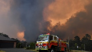 bushfire