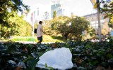 WA plastics ban