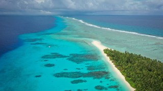 Pacific