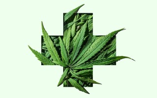 medicinal cannabis