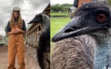 emu