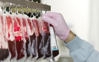 Blood
