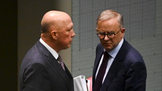 Albanese Dutton