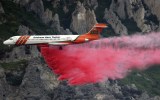 utah fire spider