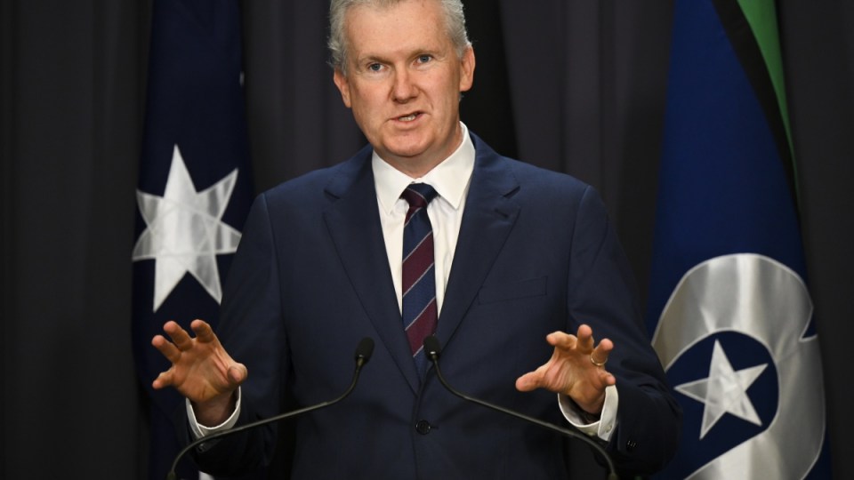 casual workers tony burke