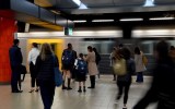 NSW trains