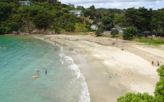 Waiheke dolphins