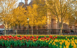 Bendigo Bloom Festival
