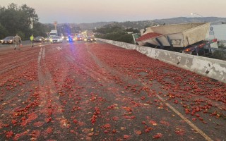 Tomato truck crash