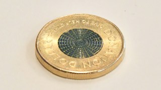 donation dollar