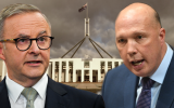 albanese dutton