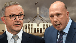 albanese dutton