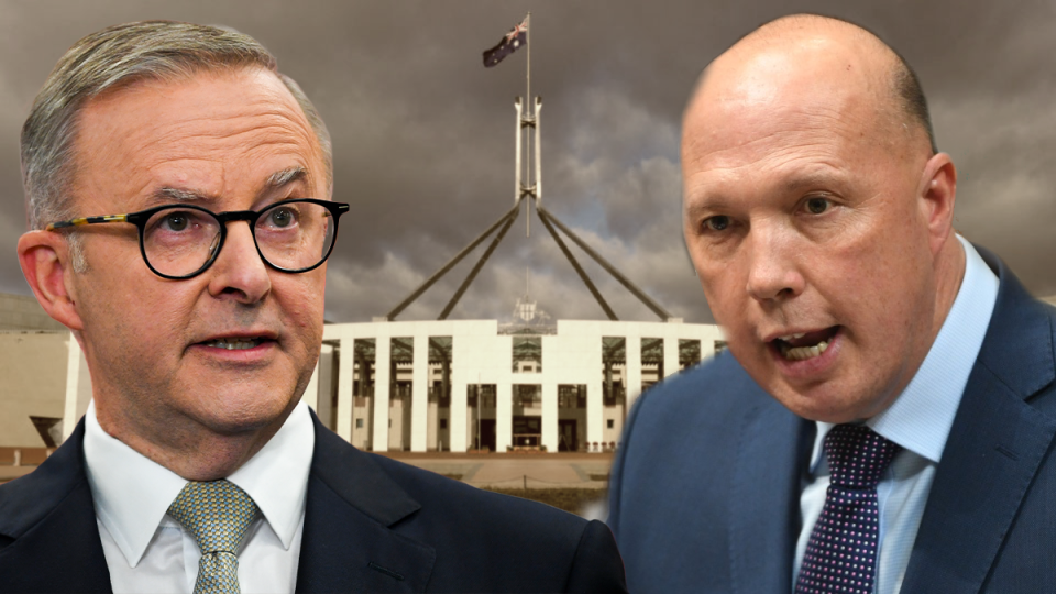 albanese dutton