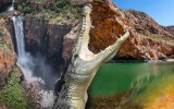 croc-spot