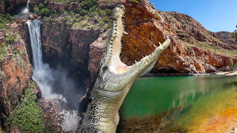 croc-spot