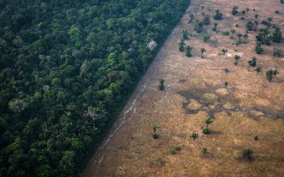 Brazil Amazon