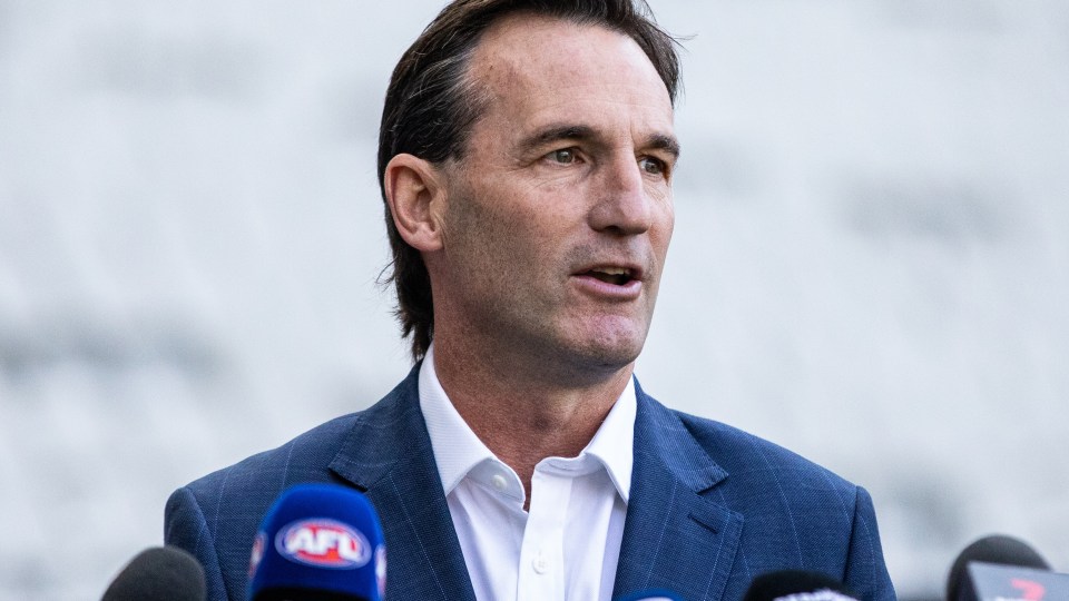 AFL Tasmania