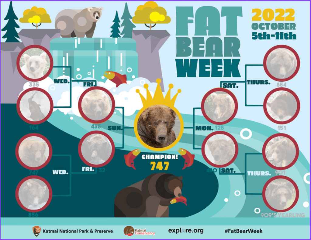 Fat Bear Week