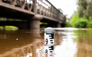 NSW flood