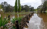 floods fruit vegies