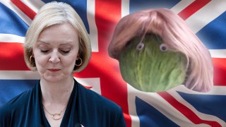 Liz Truss lettuce