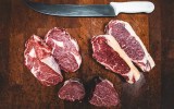 meat carnivore