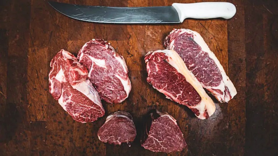 meat carnivore