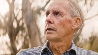 the giants bob brown