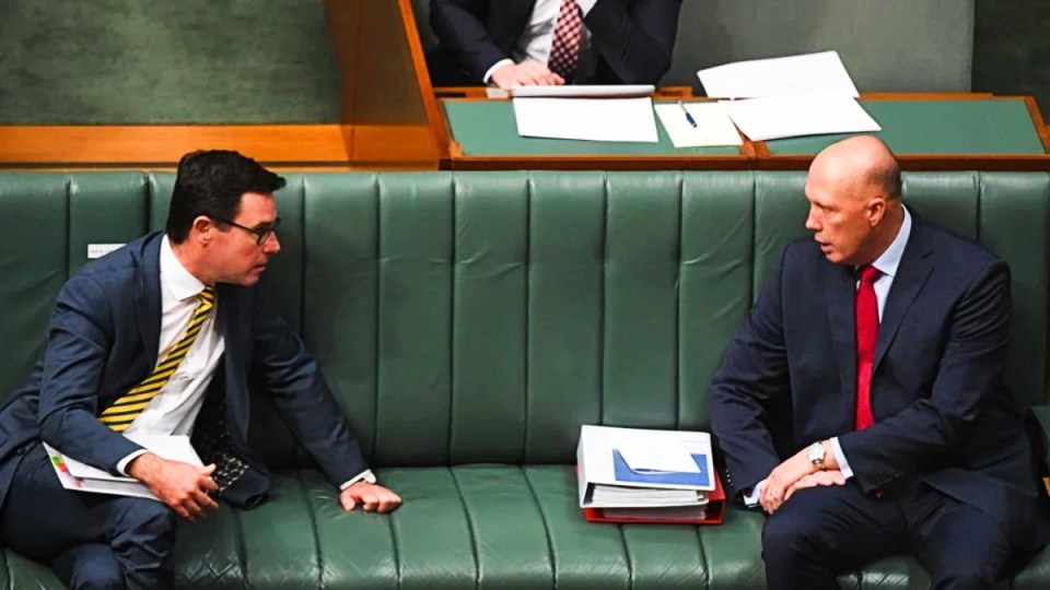 budget reply
