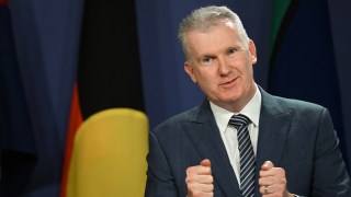 tony burke voice