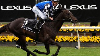 Melbourne Cup