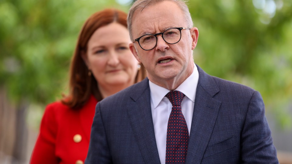 Albanese COP27