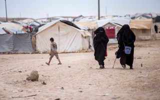 Syria repatriation