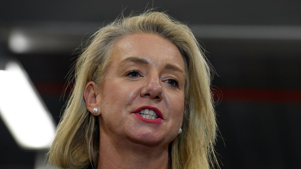 Bridget McKenzie sports rorts