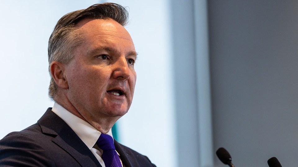 Net zero Chris Bowen