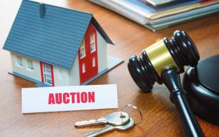 Auction tips