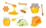 Honey