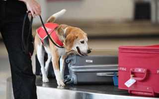 biosecurity