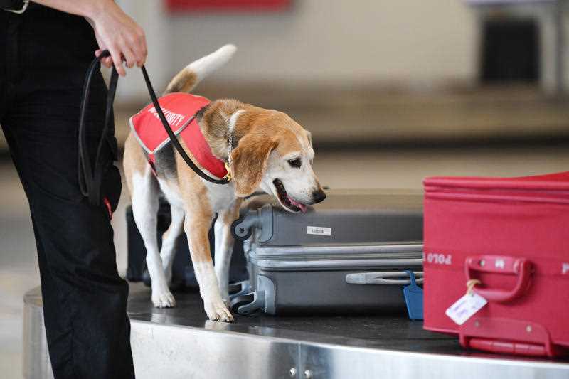 biosecurity