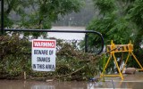 NSW floods snakes
