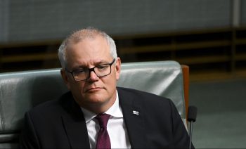 Tim Ferguson report Scott Morrison