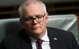 Tim Ferguson report Scott Morrison